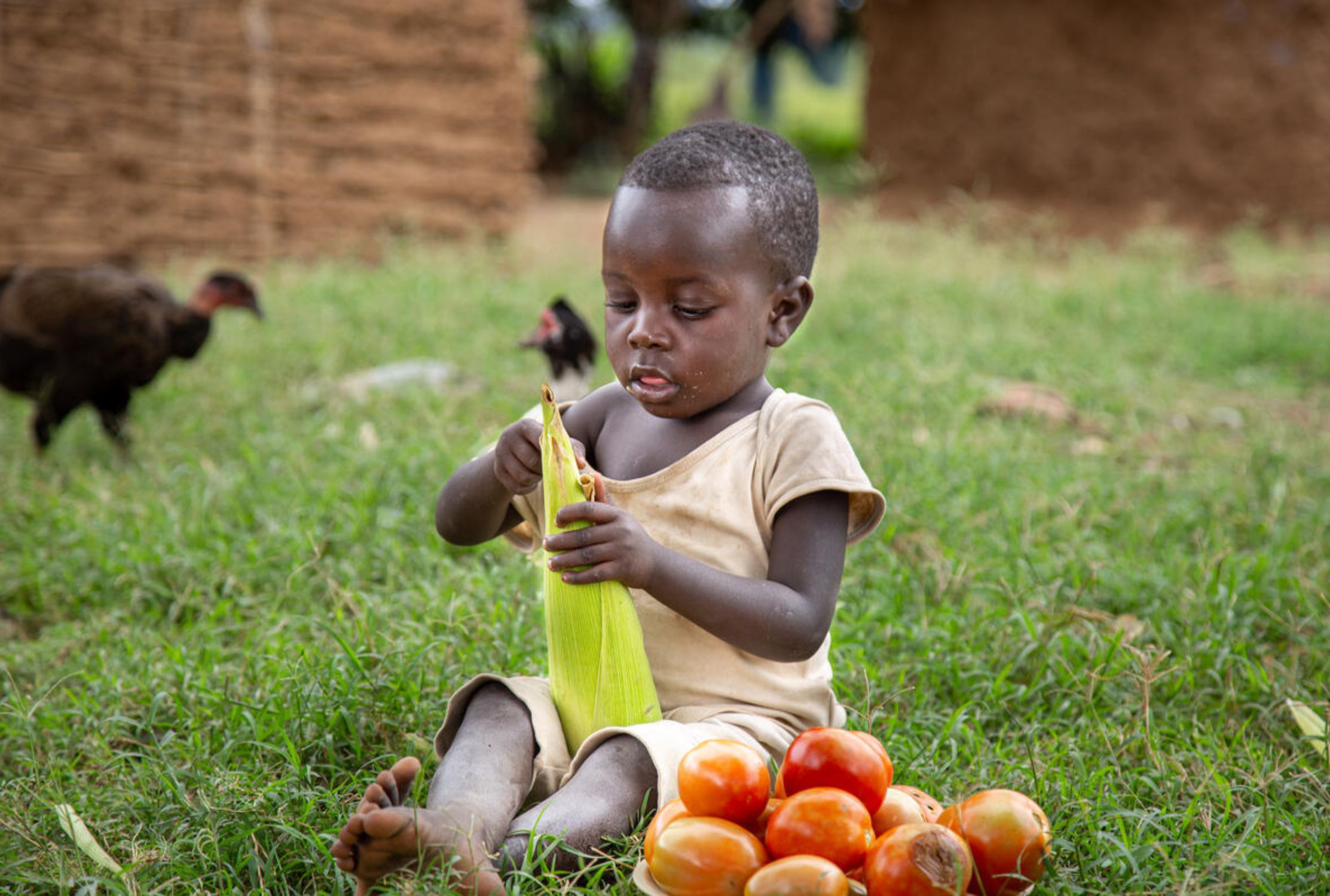 Young girl sits with her legs out on the grass, surrounded by fruit and vegetables and peeling corn