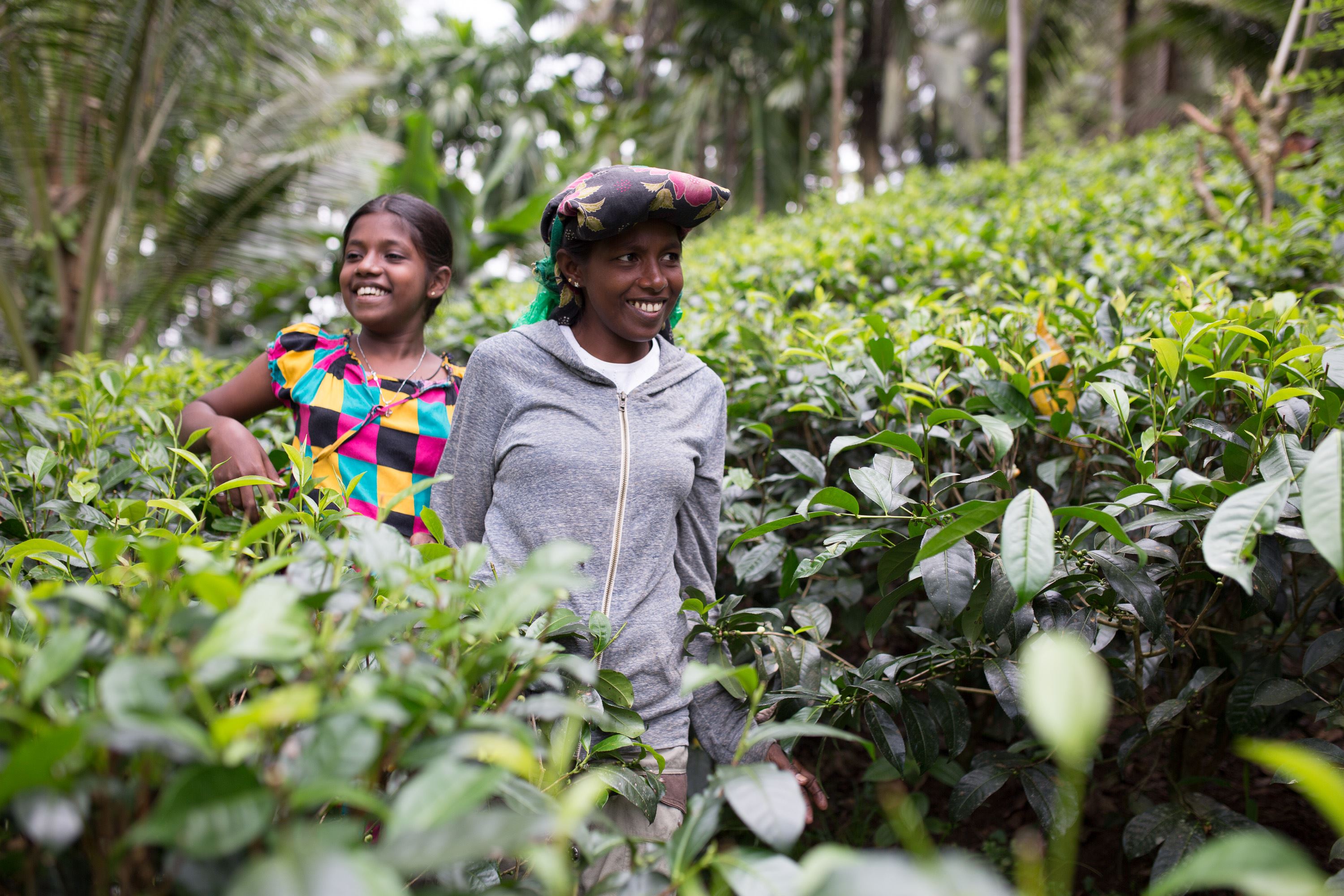 Two girls grin and look around as they walk through a green field of crops in Sri Lanka