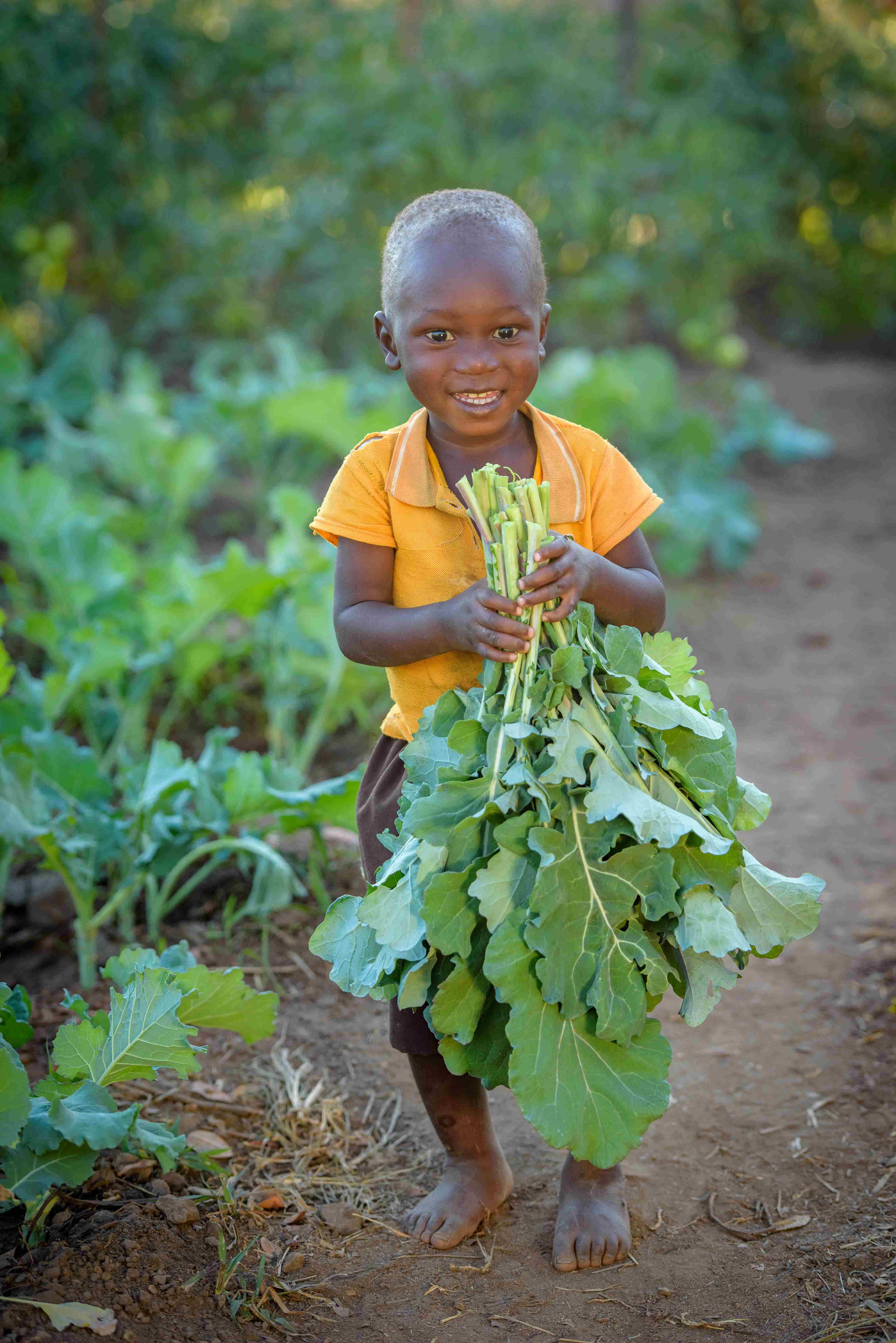 Child from Zambia smiles as he carries a large bunch of vegetables