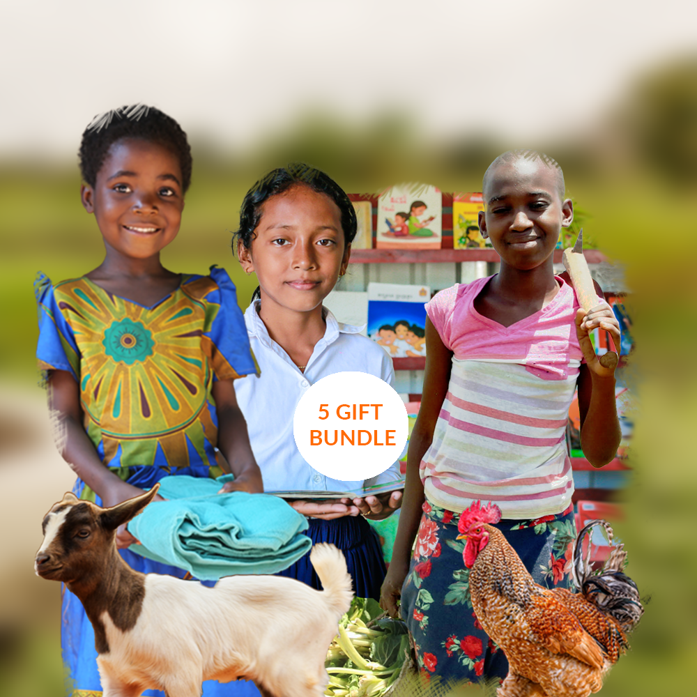 Digital artwork displaying gifts on offer, including a goat, a football and a chicken