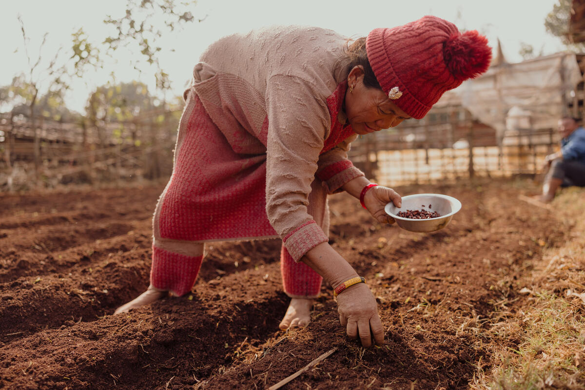 Woman in Nepal planting vegetable seeds in the earth.