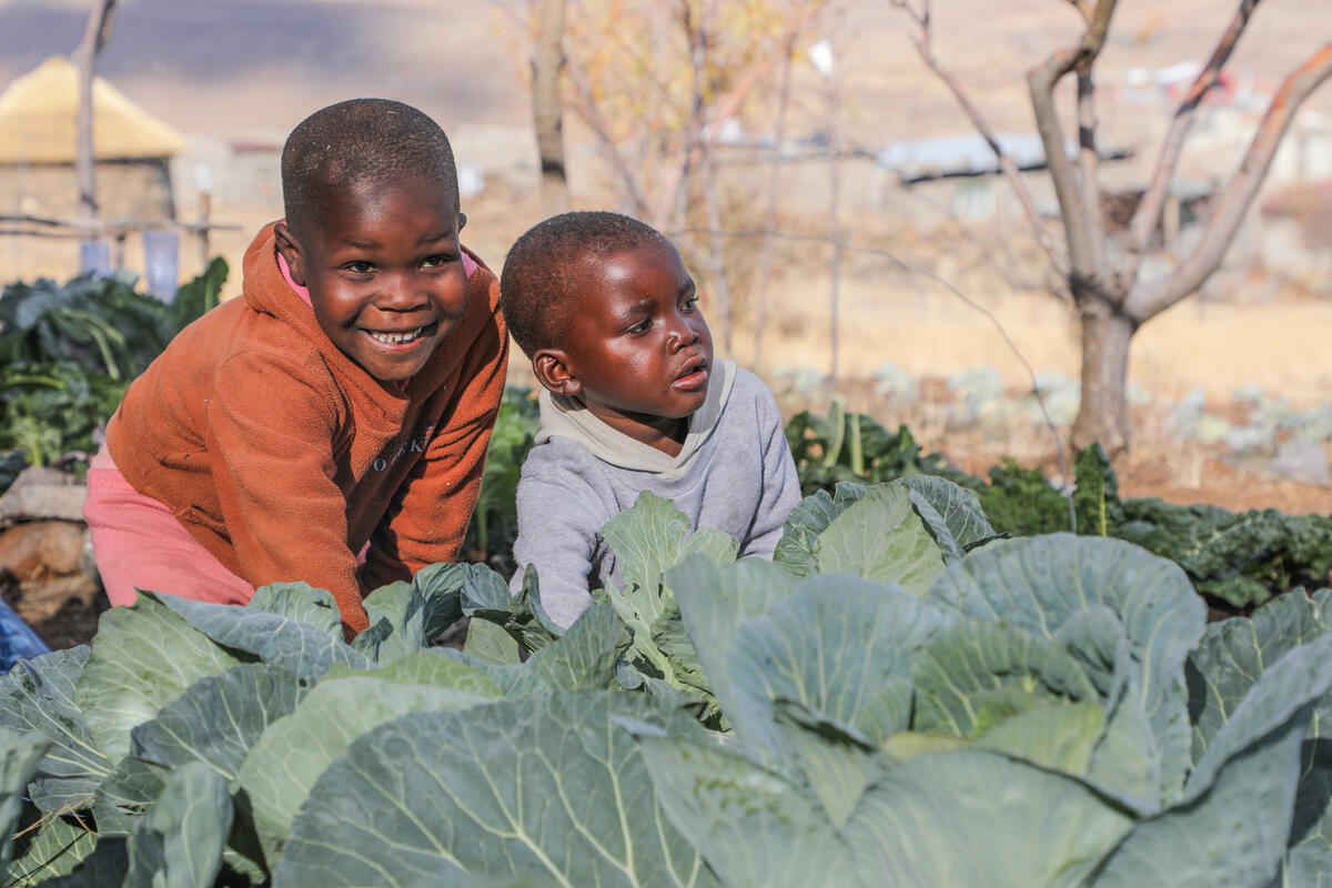 Girl in Kenya smiles as she stands in a lettuce field 