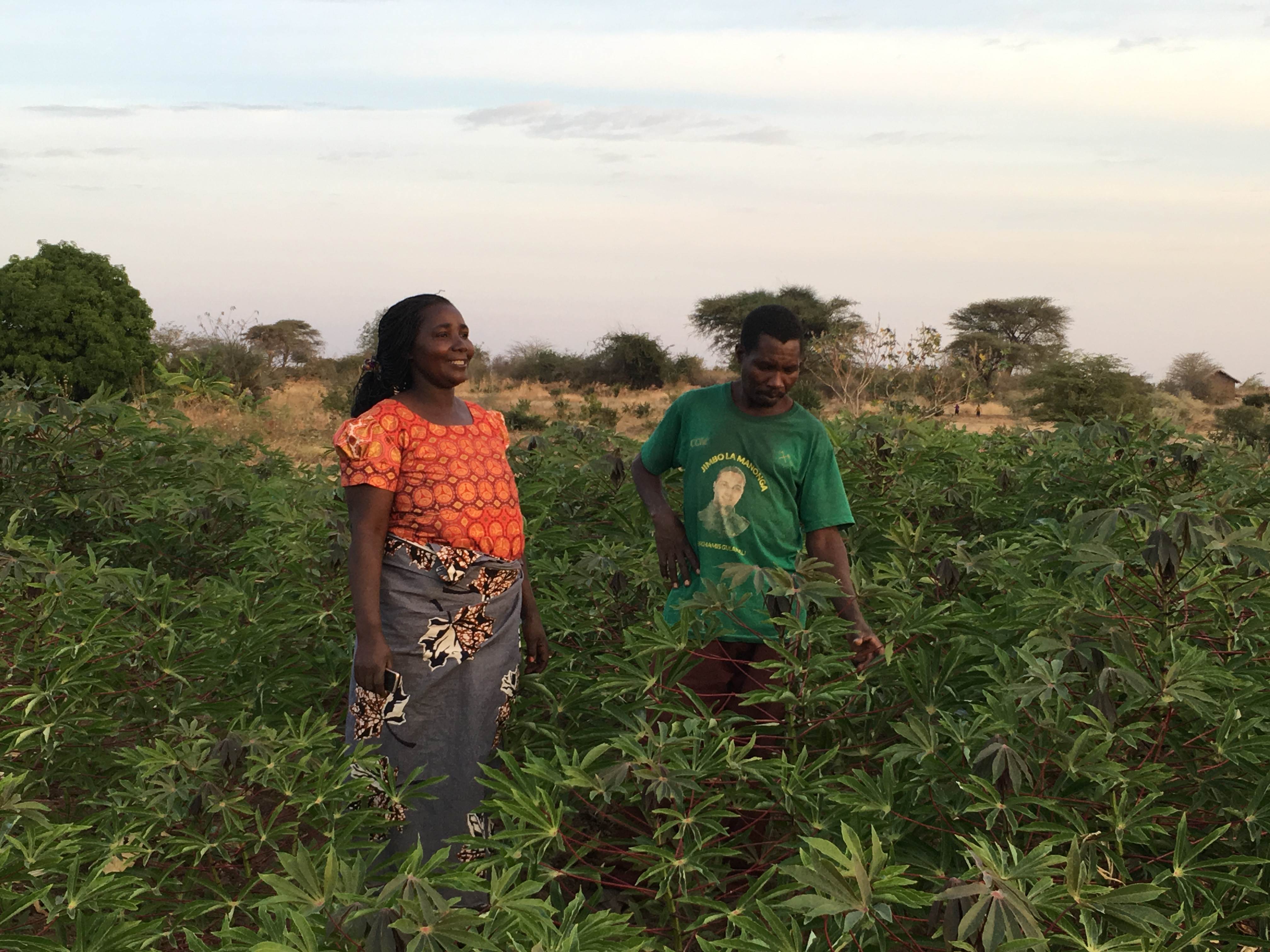 Two people stand in a field in Tanzania