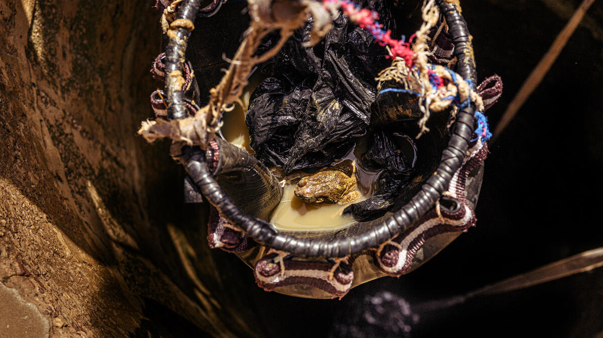 Bucket used to collect water from a well full of dirty water and a frog